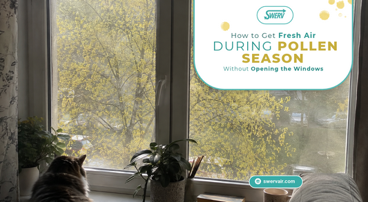How to Get Fresh Air During Pollen Season Without Opening the Windows